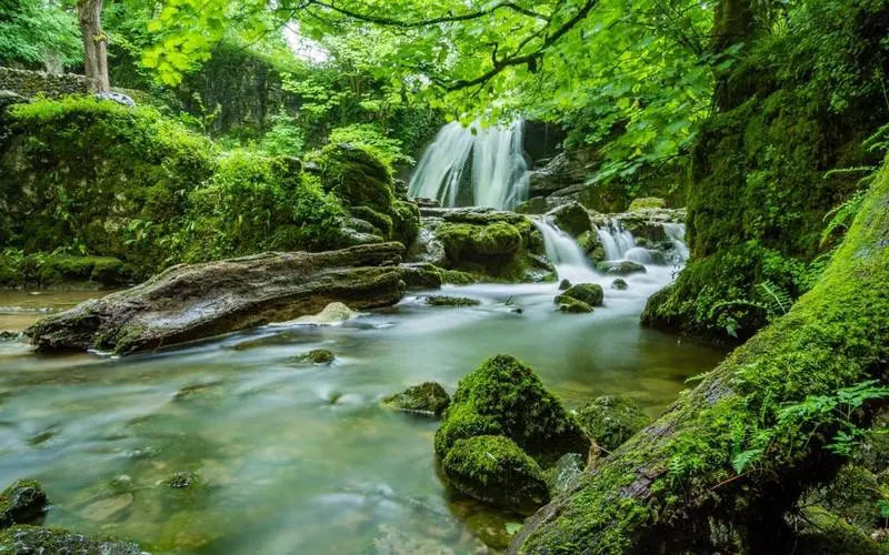 科技高效